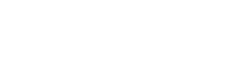 Merlin Software